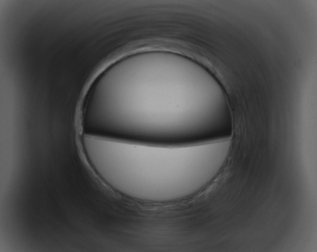 X0000098101522200804040736