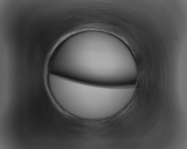 X0000098101523200804040736