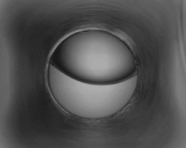 X0000098101524200804040736