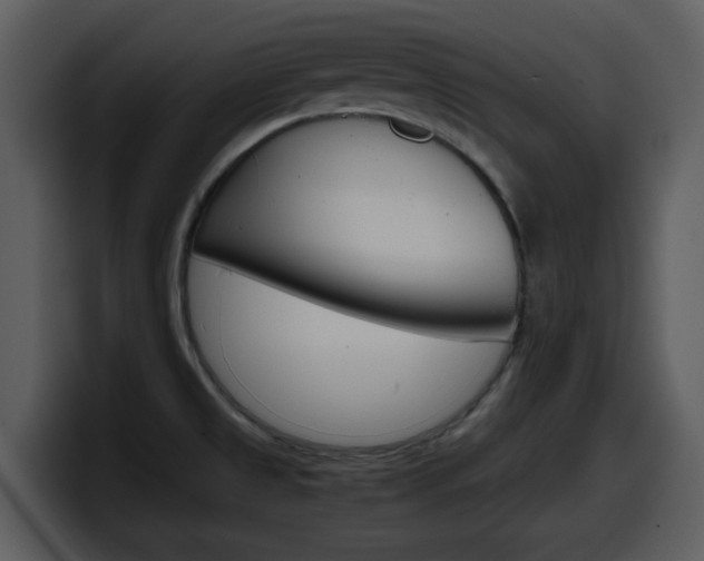 X0000098101525200804040736
