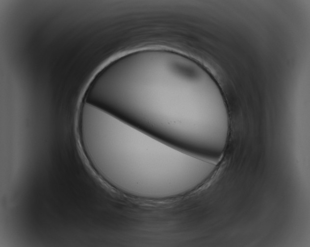 X0000098101526200804040736