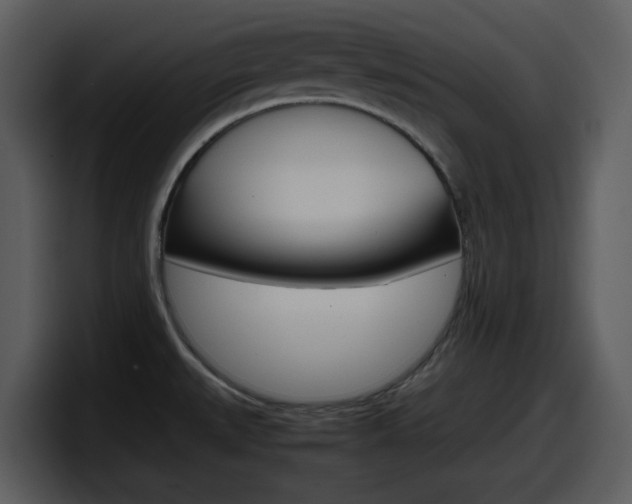 X0000098101527200804040736