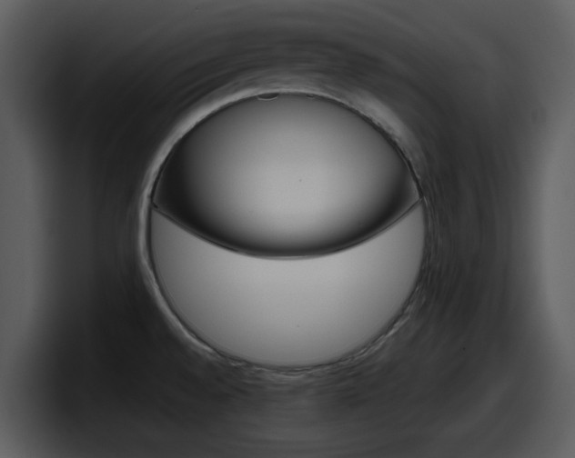 X0000098101528200804040736