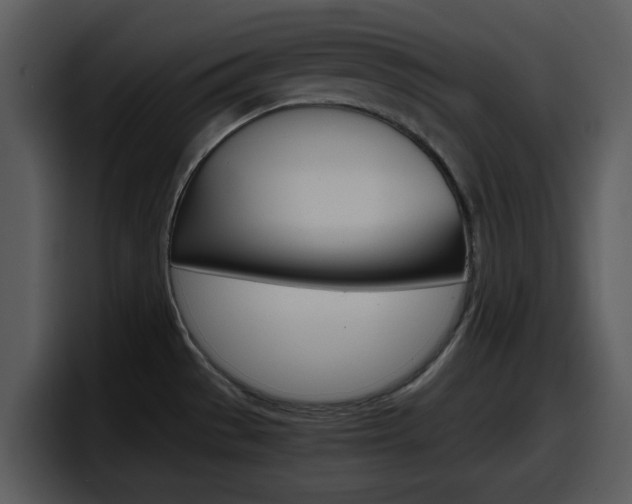 X0000098101529200804040736