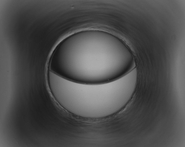 X0000098101530200804040736