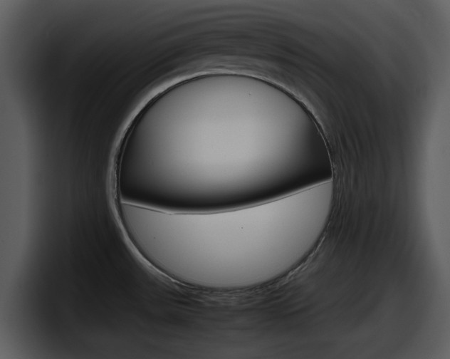 X0000098101531200804040736