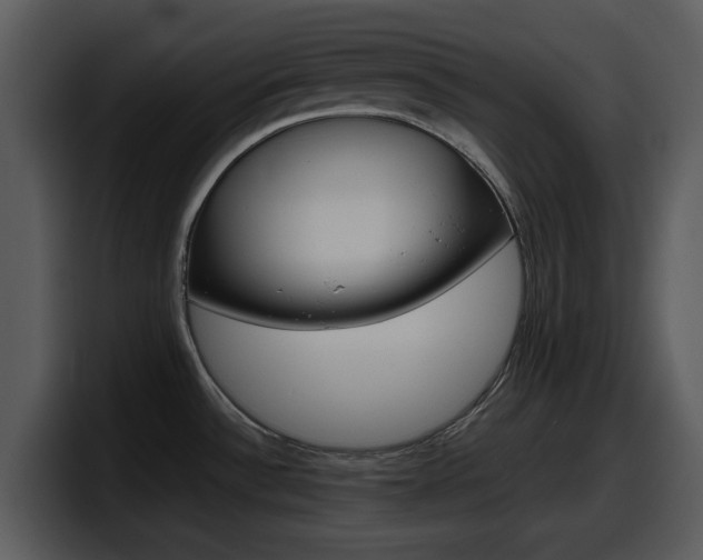 X0000098101532200804040736