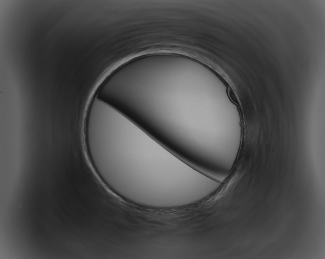 X0000098101533200804040736