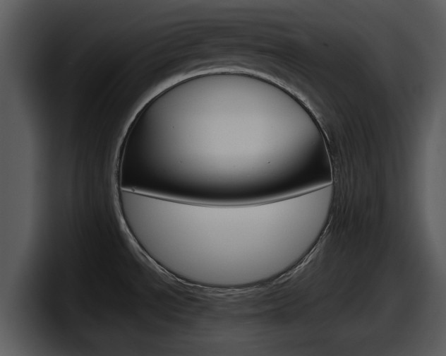 X0000098101534200804040736