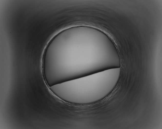 X0000098101535200804040736