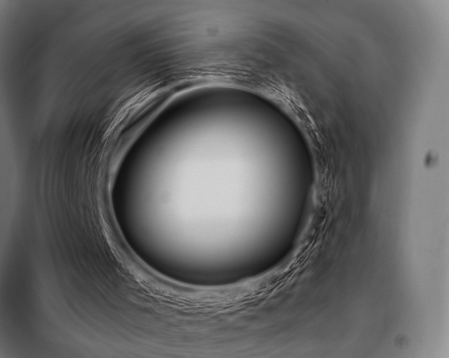 X0000098100001200804041255