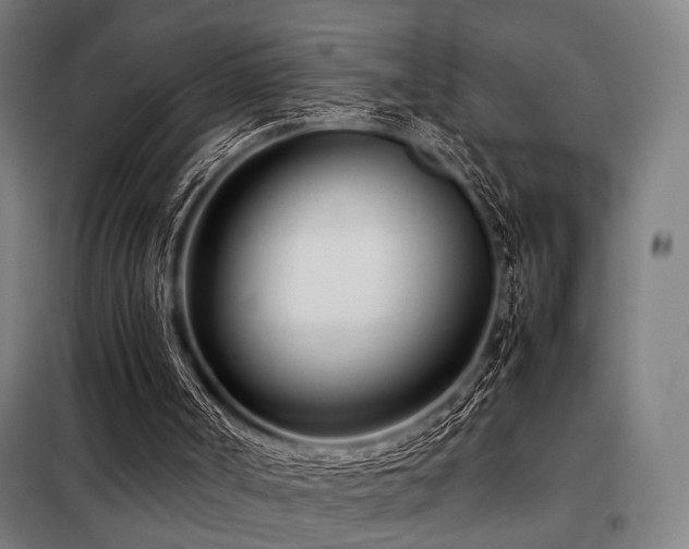 X0000098100002200804041255