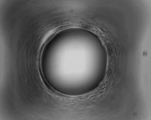 X0000098100003200804041255