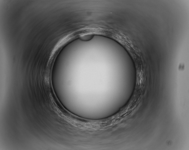 X0000098100004200804041254