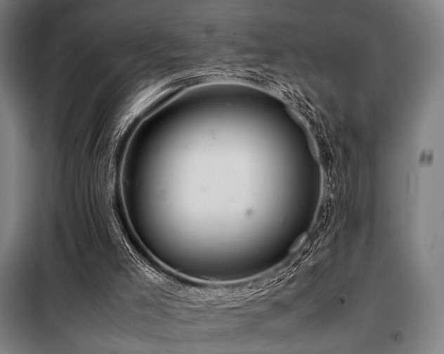 X0000098100005200804041254
