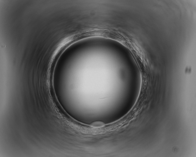 X0000098100006200804041254