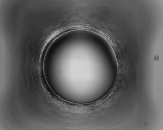 X0000098100008200804041254
