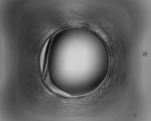X0000098100009200804041254