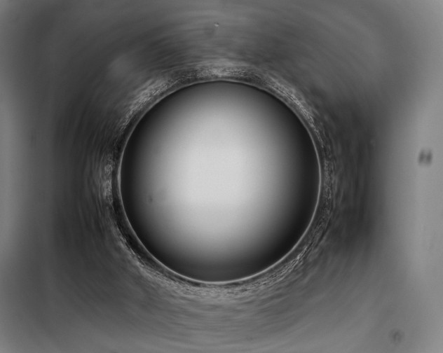 X0000098100010200804041254