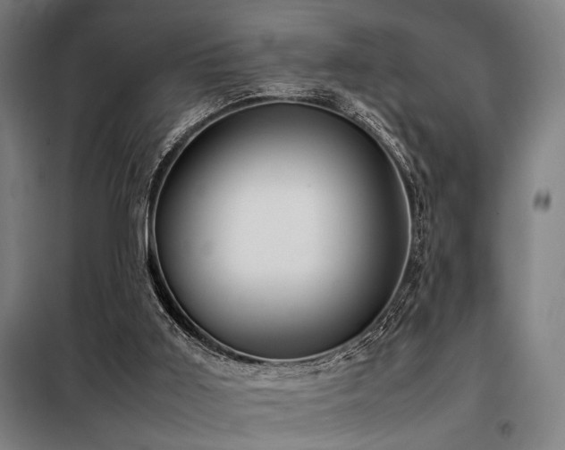 X0000098100011200804041254