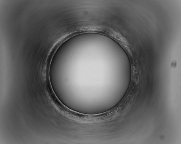 X0000098100012200804041254