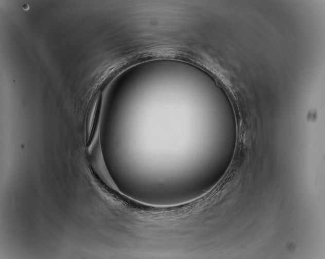 X0000098100013200804041254