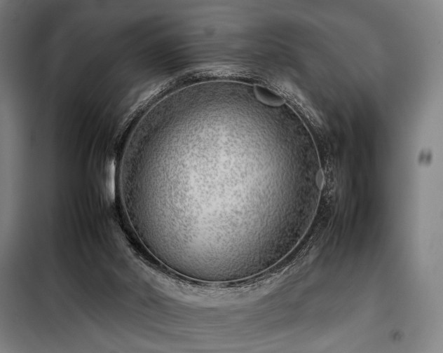 X0000098100014200804041254