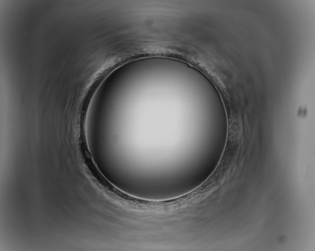 X0000098100015200804041254