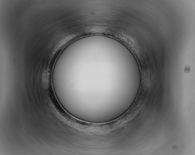 X0000098100016200804041254