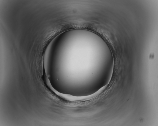 X0000098100017200804041254