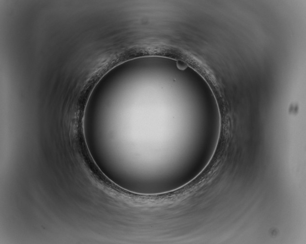 X0000098100018200804041254