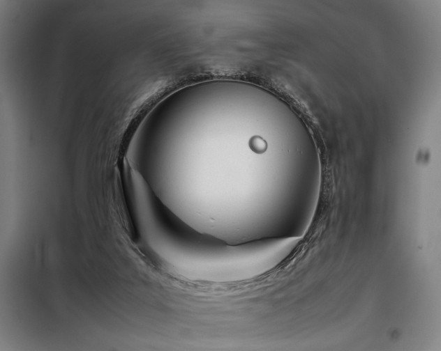 X0000098100019200804041254