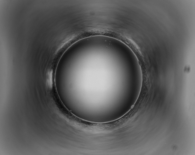 X0000098100020200804041254