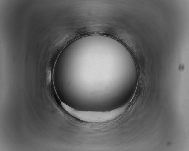X0000098100021200804041254