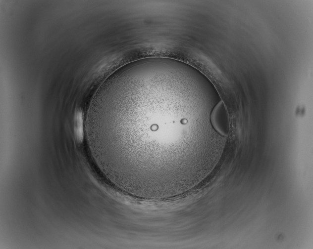 X0000098100022200804041254