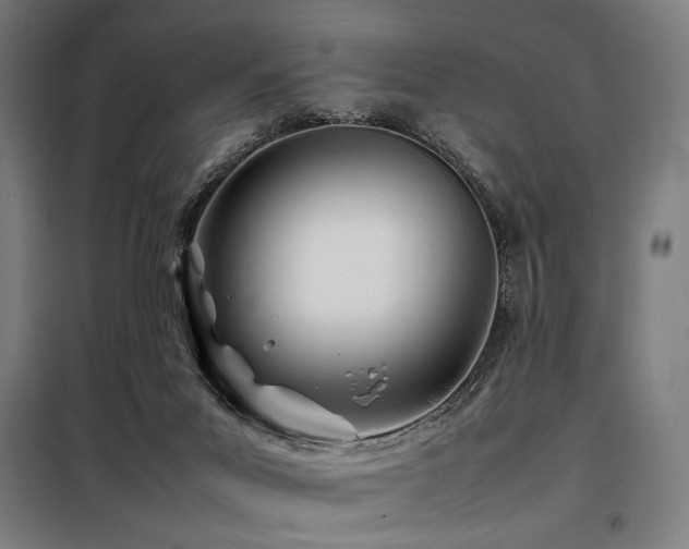 X0000098100023200804041254
