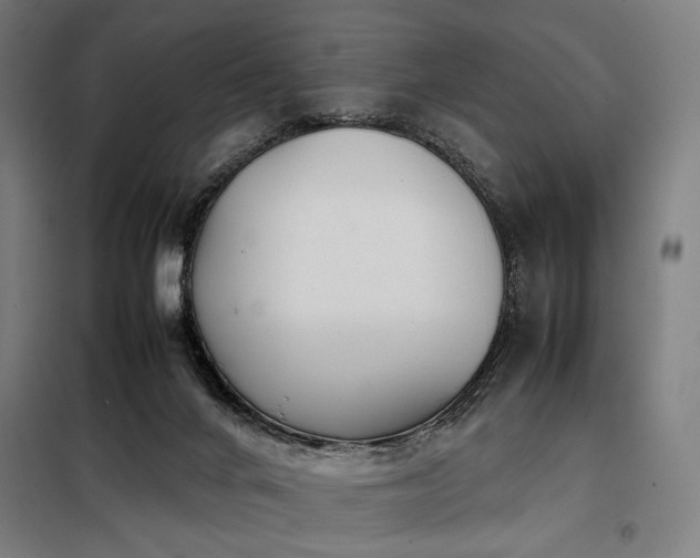 X0000098100024200804041254