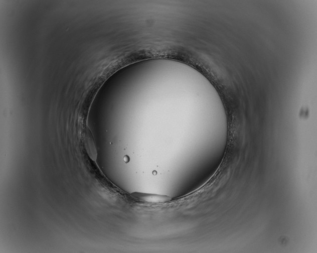 X0000098100025200804041254