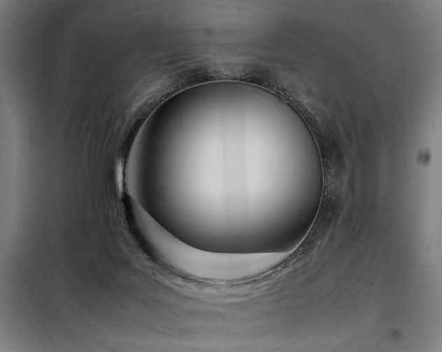X0000098100027200804041254