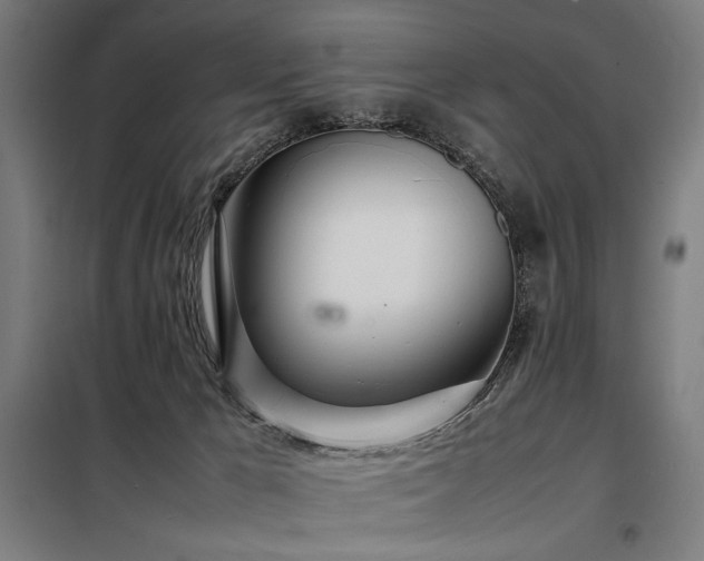X0000098100029200804041254