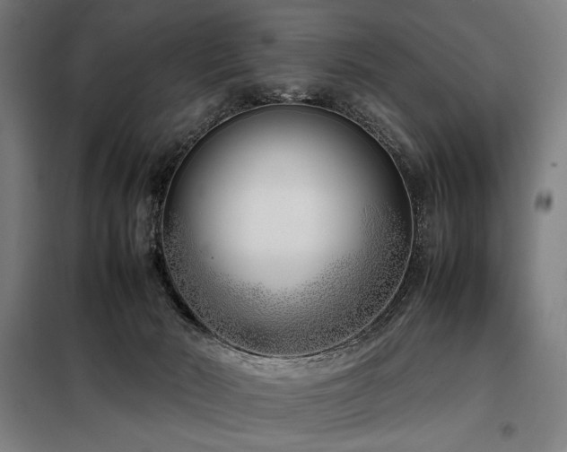 X0000098100030200804041254