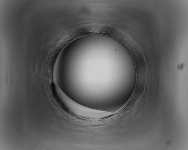 X0000098100031200804041254