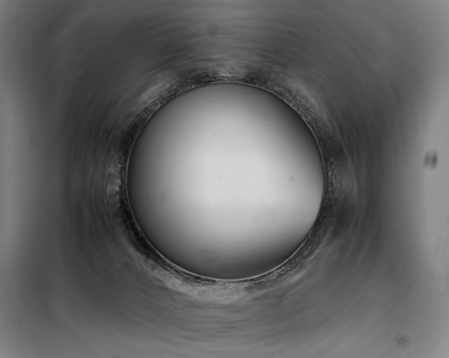 X0000098100032200804041254