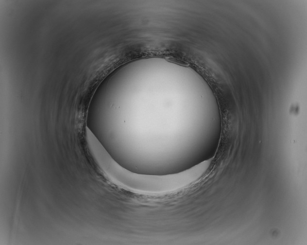 X0000098100033200804041254