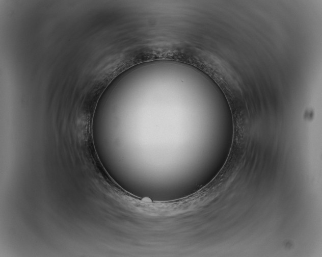 X0000098100034200804041254