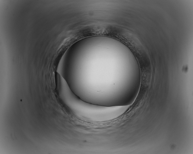 X0000098100035200804041254