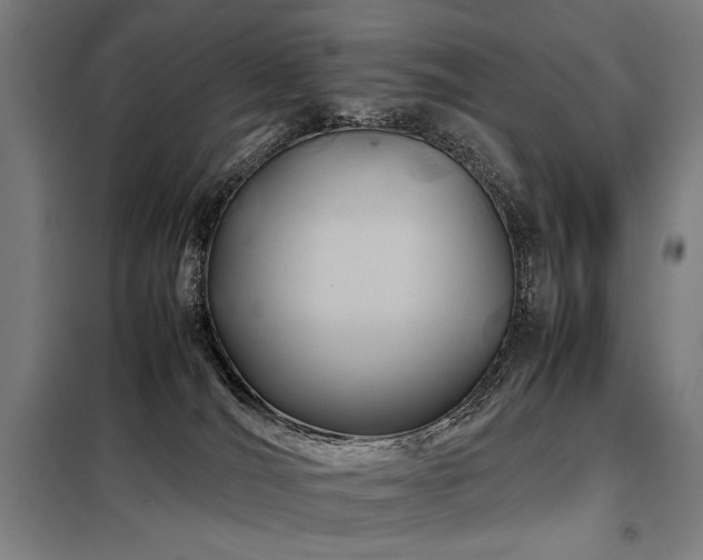 X0000098100036200804041254