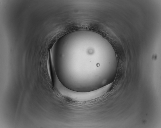X0000098100037200804041254