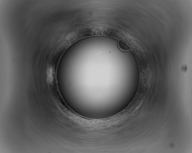 X0000098100038200804041254