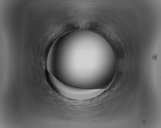 X0000098100039200804041254
